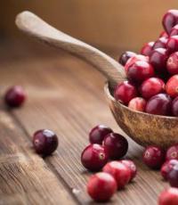 Cranberry beneficial properties and contraindications Benefits and harms of cranberries for the human body