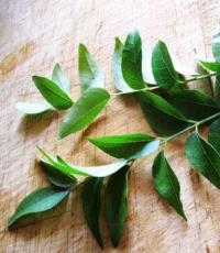 Benefits of Using Curry Leaves for Hair