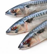 Польза и вред рыбы Полезные свойства рыбы для организма