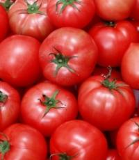 Hur man picklar tomater i en hink som fat