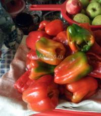 Bell peppers with apples for the winter recipes How to preserve peppers with apples
