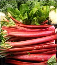 Medicinal properties of rhubarb, methods of its preparation and use