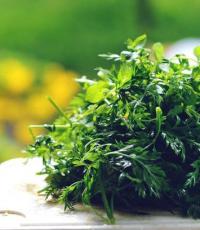 تاپ هویج: ضایعات یا محصول مفید؟